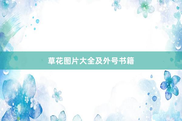 草花图片大全及外号书籍