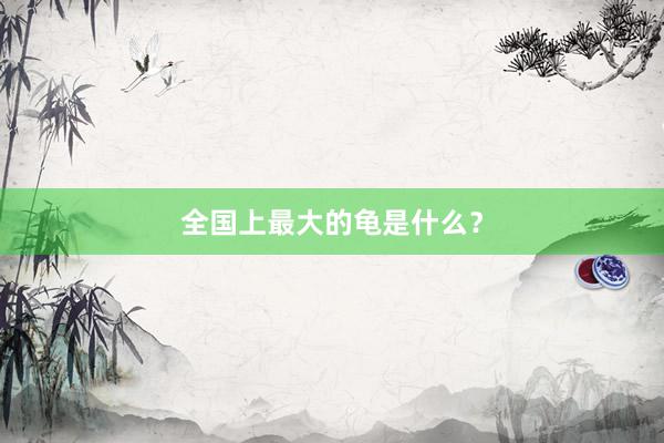 全国上最大的龟是什么？